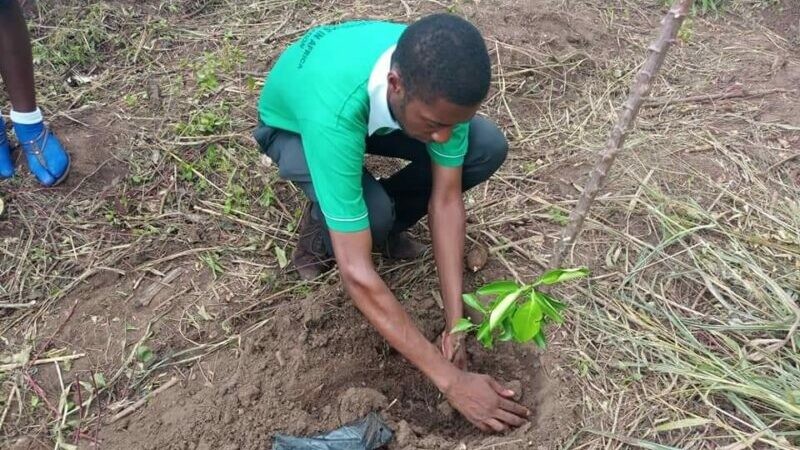 Read more - How did it start?