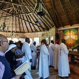 Read more - Countries involved