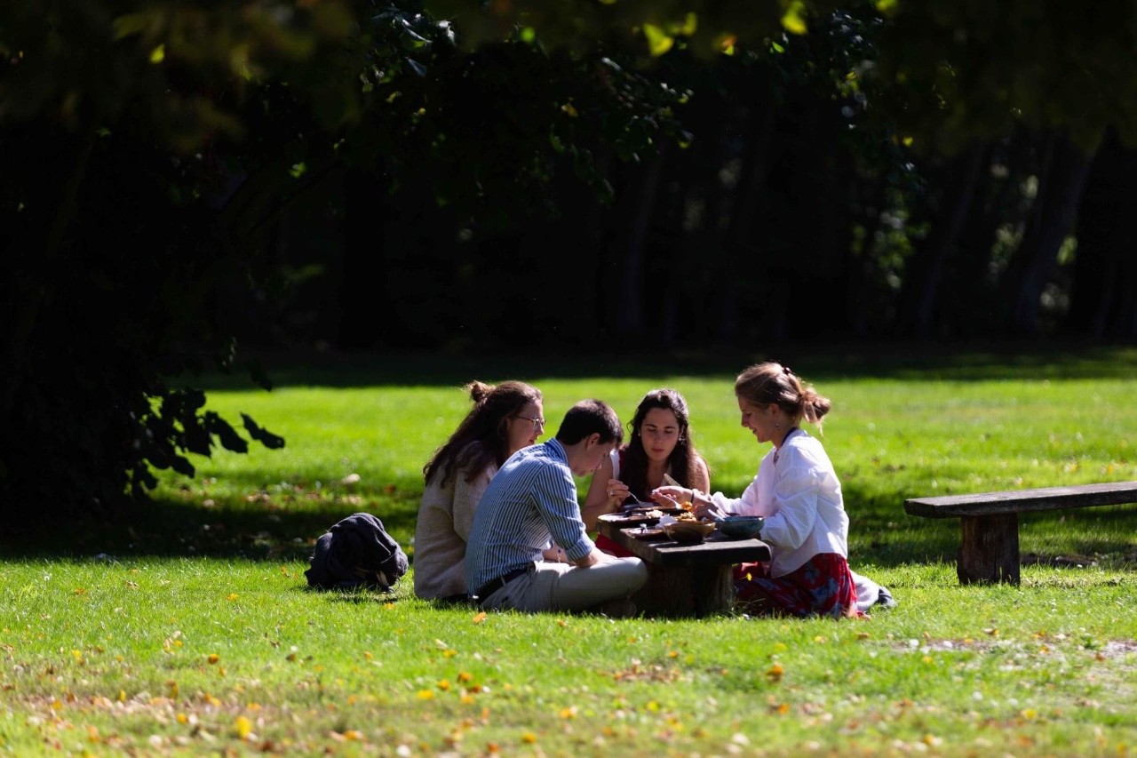 Read more - Benefits